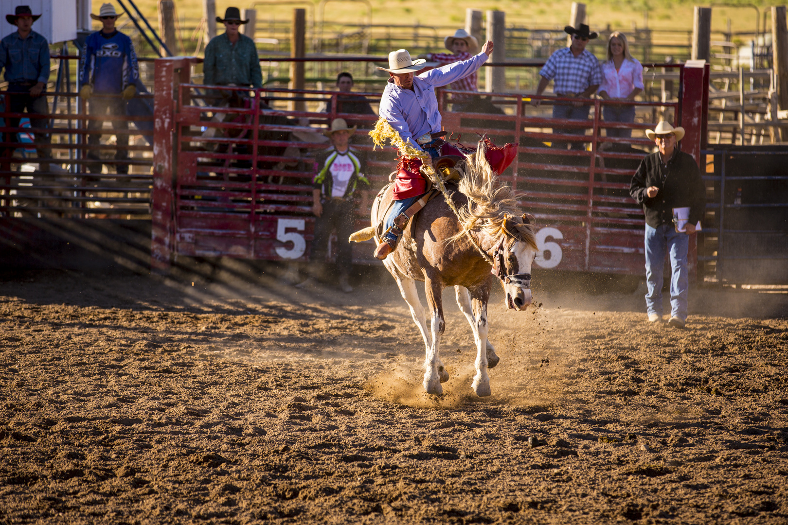 Rodeo in Perfektion