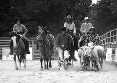 Rodeo in Weidenpesch