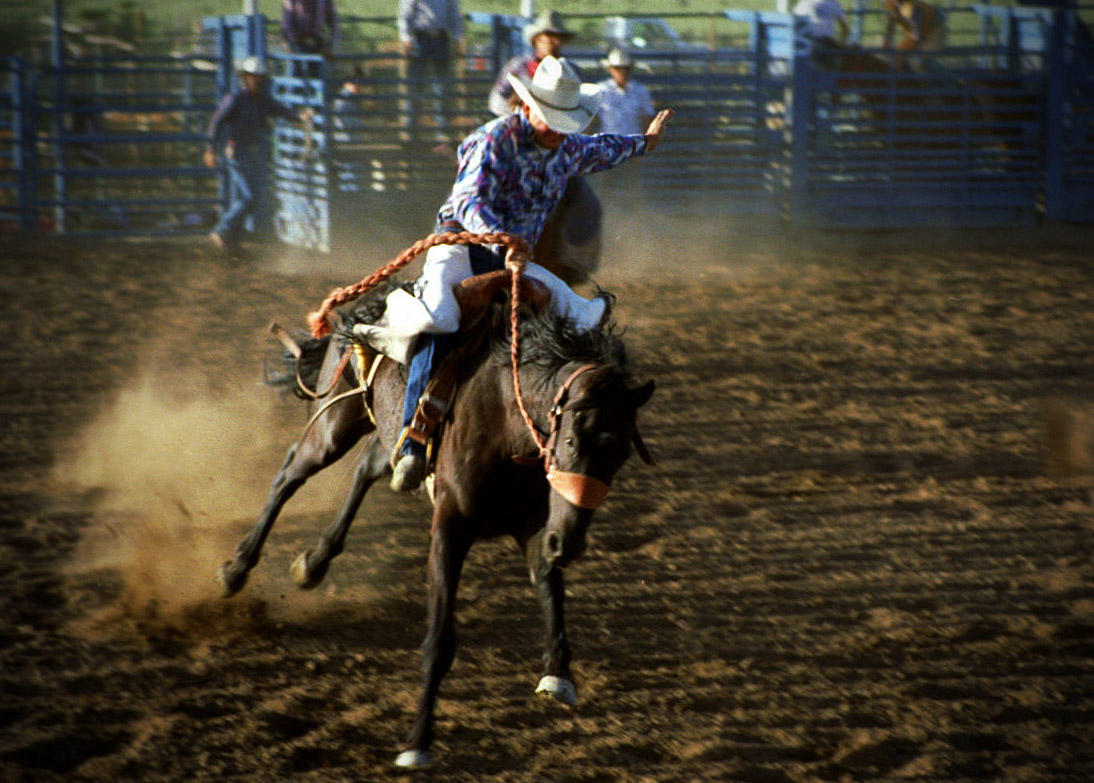 Rodeo in Zion