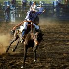 Rodeo in Zion