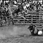 Rodeo Lascano 4