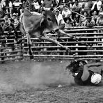 Rodeo Lascano 4