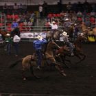 Rodeo Leduc Alberta