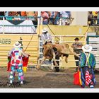 Rodeo Montubio Guayaquil