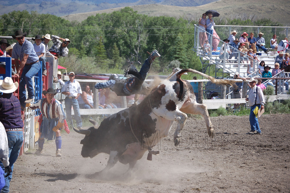 Rodeo USA Idaho 2005