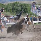 Rodeo USA Idaho 2005