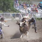 Rodeo USA Idaho