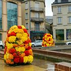 Rodez, Aveyron