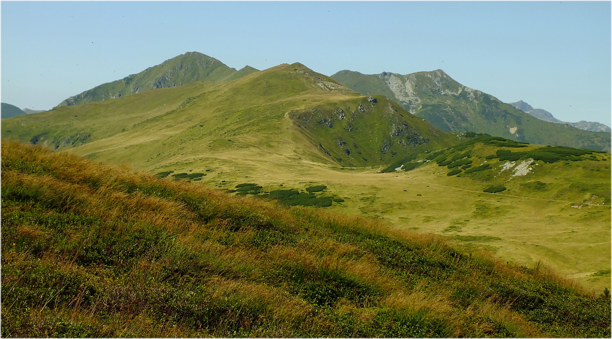 Rodnei Mountains 