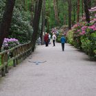 Rododendronpark, Helsinki, Haaga