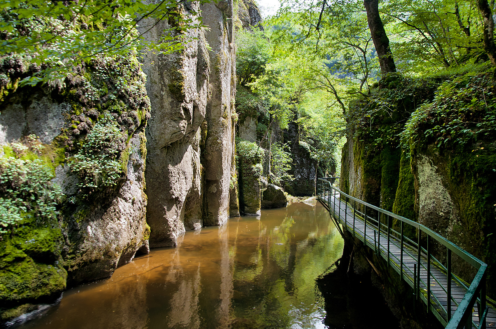 Rodopi Mauntain