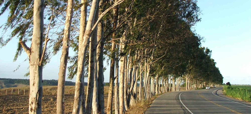 Rodovia AL 101 Norte no Estado de Alagoas