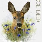 Roe deer in cornflower field