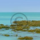 Roebuck Bay, Broome, Australien