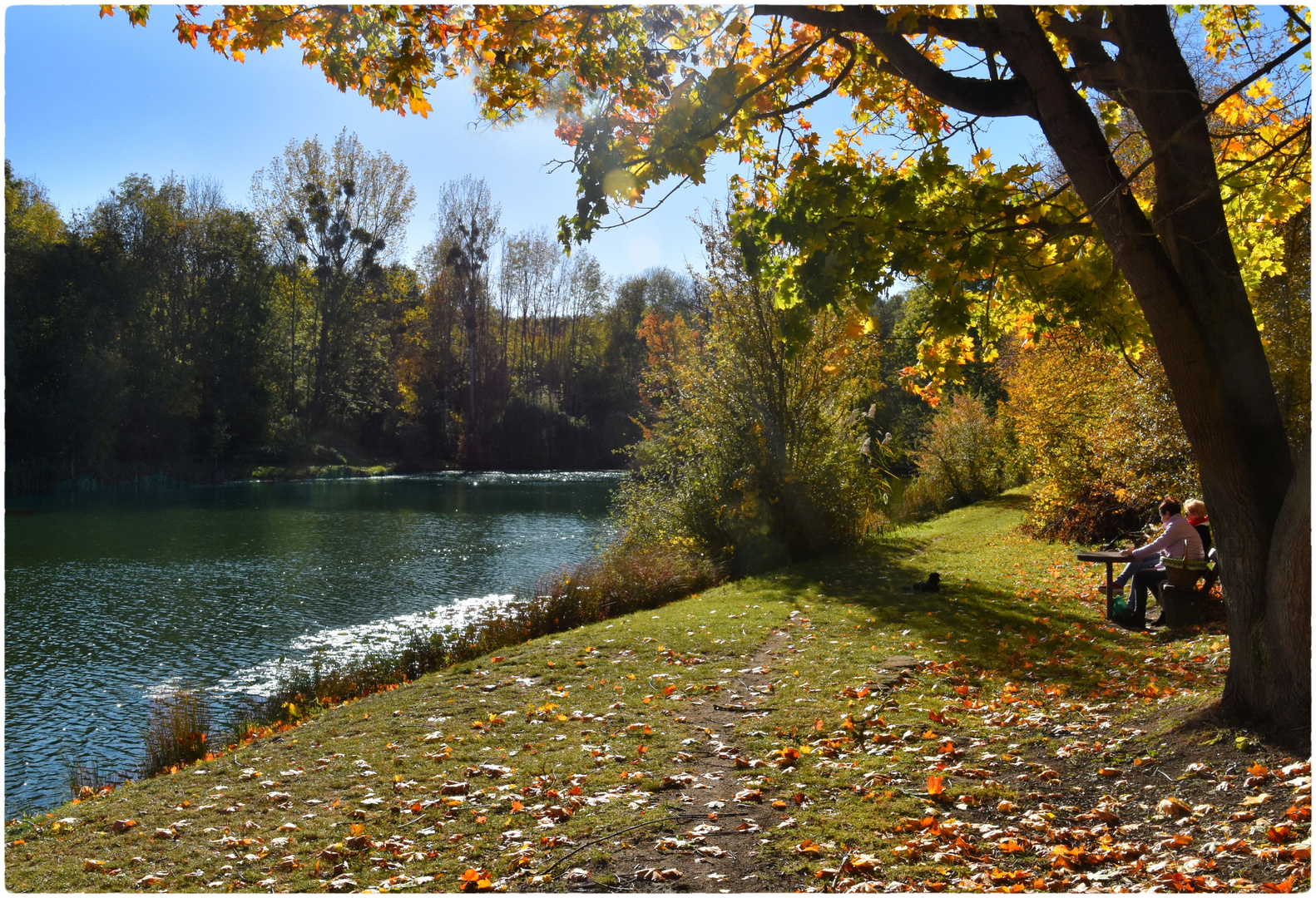 Röderhofer Teich Foto & Bild natur, herbst, landschaft Bilder auf