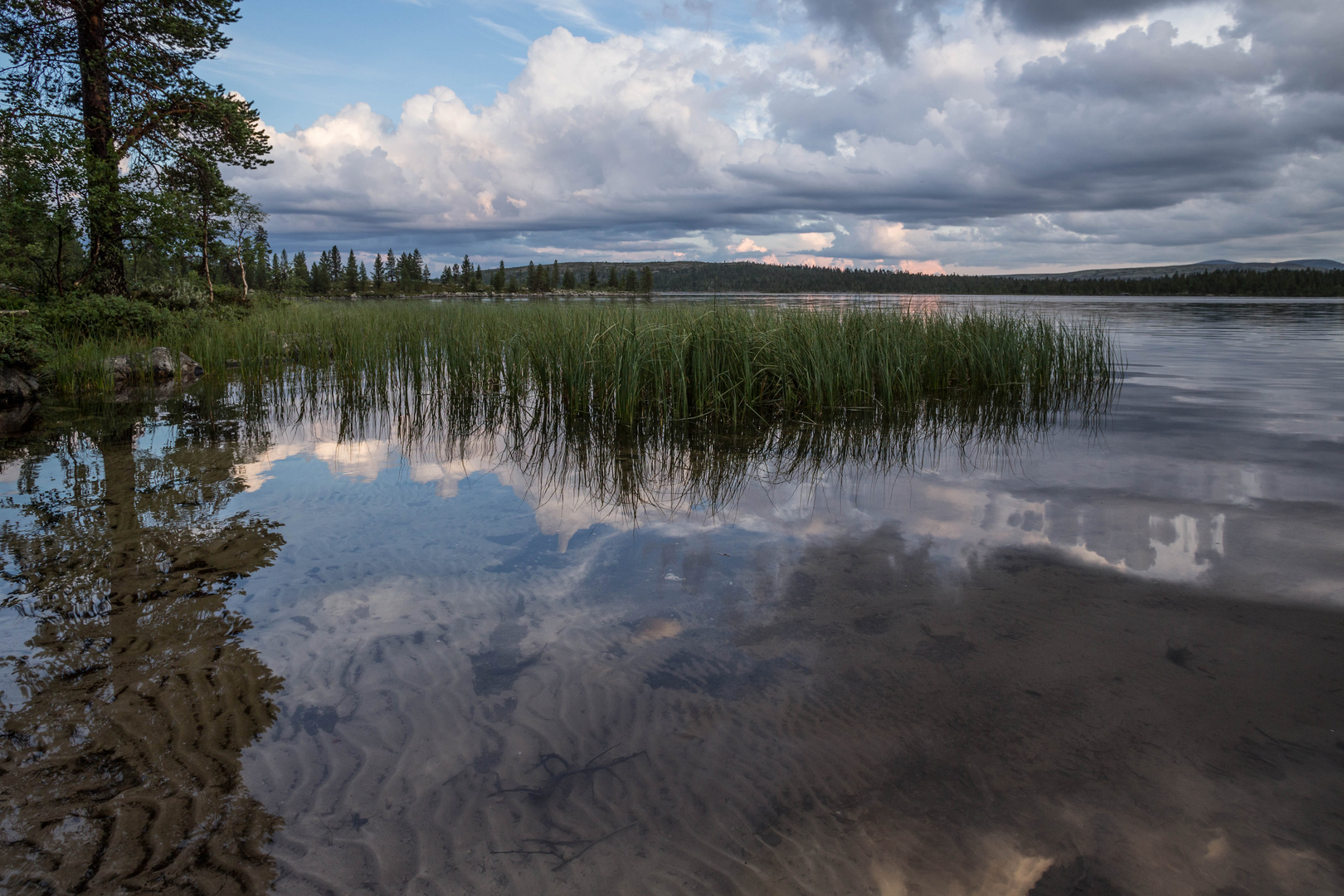 Rödviken