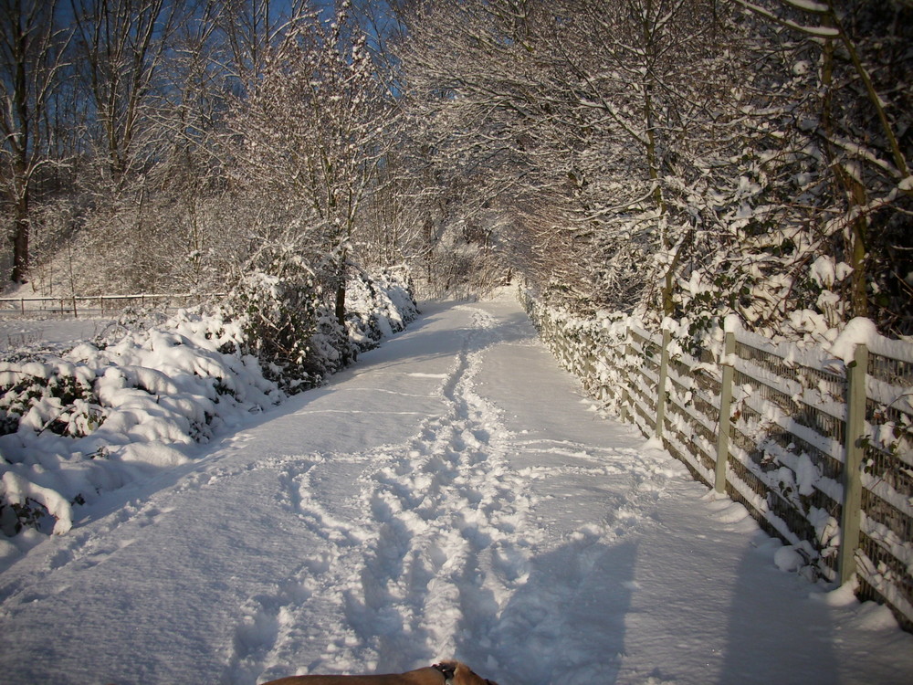 Röhlinghausen im Schnee 2