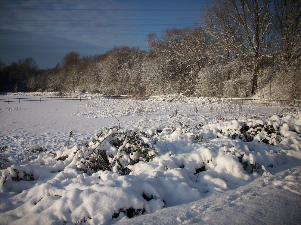 Röhlinghausen im Schnee 3