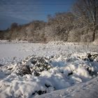 Röhlinghausen im Schnee 3