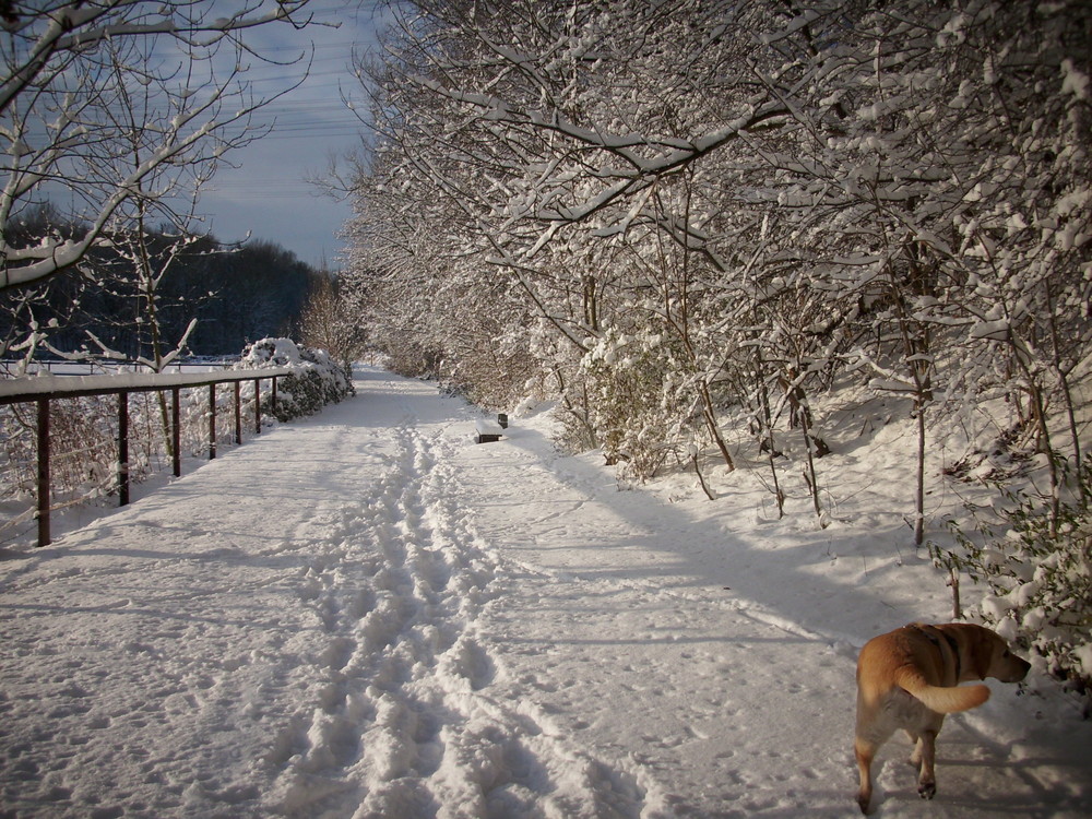 Röhlinghausen im Schnee 5