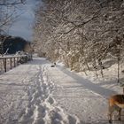 Röhlinghausen im Schnee 5