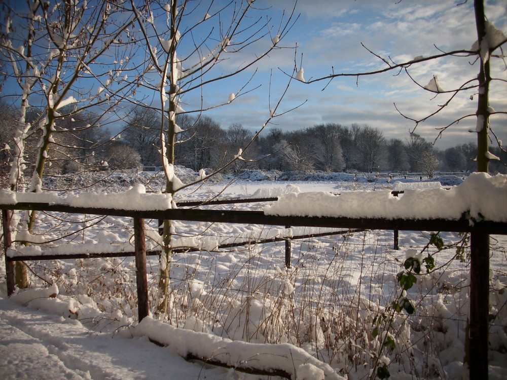 Röhlinghausen im Schnee 7