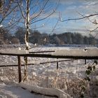 Röhlinghausen im Schnee 7