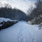 Röhlinghausen im Schnee 9