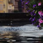 Röhrbrunnen an Allerheilligen