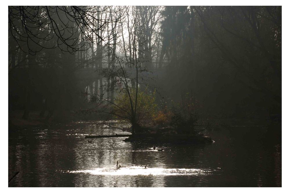 Röhrensee in Bayreuth