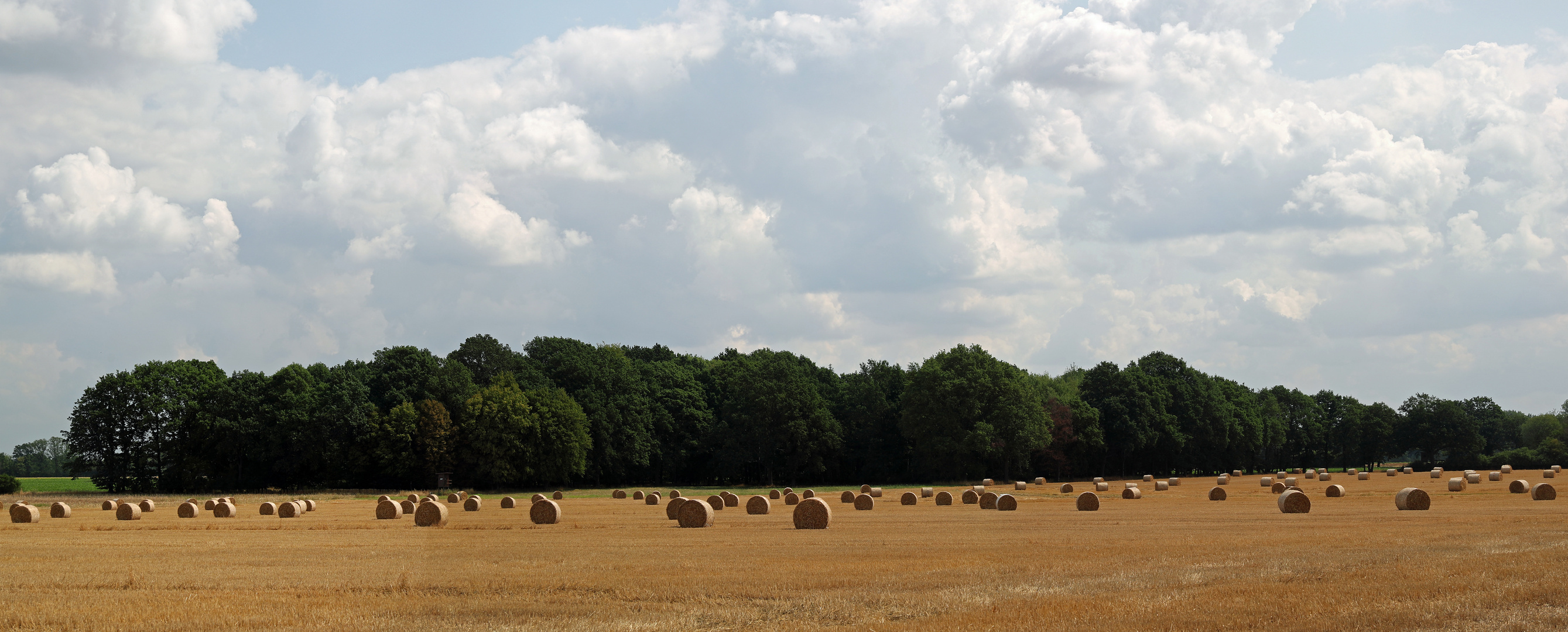 Röllekes Pano 