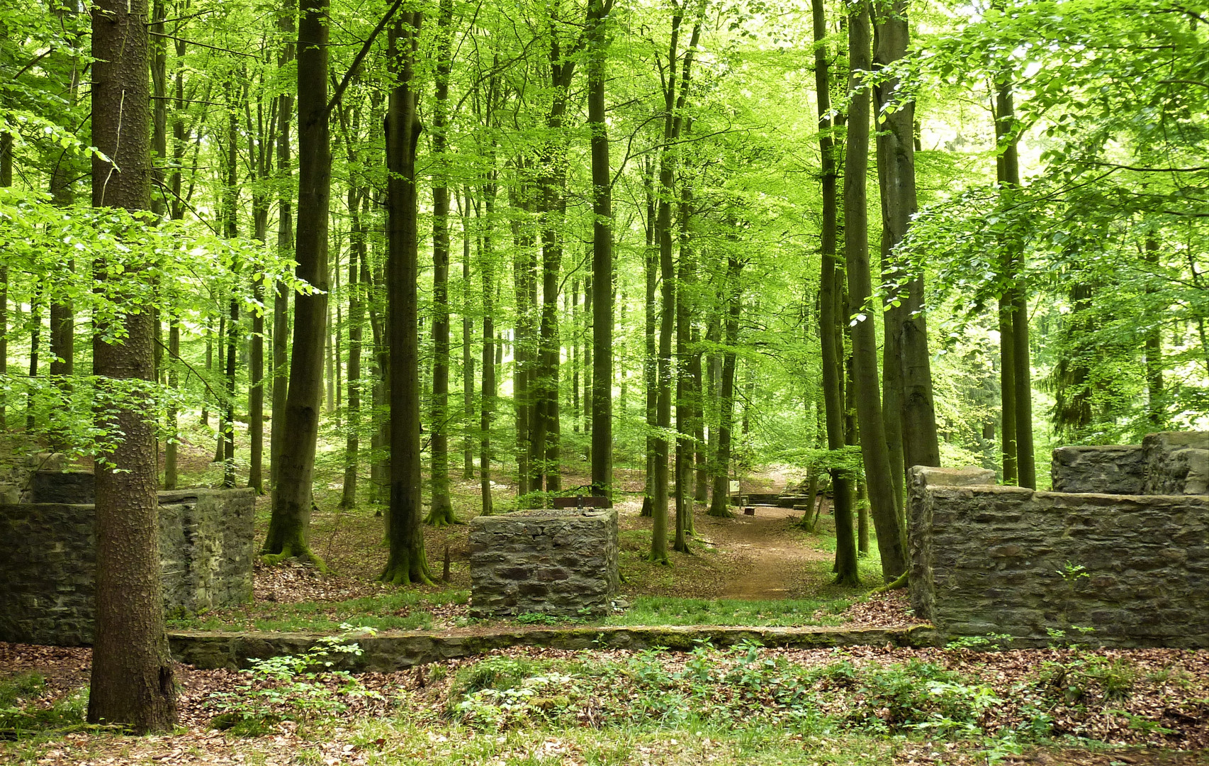 Römerkastell wie Dazumal