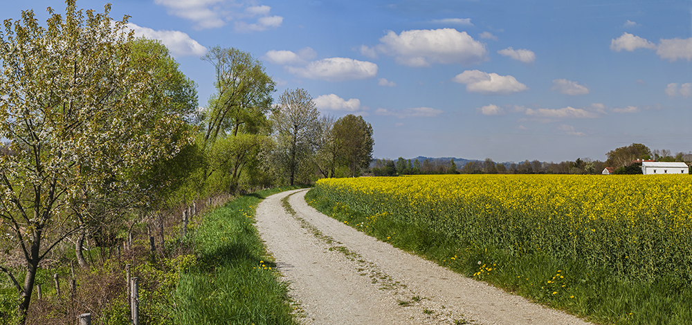 Römerradweg