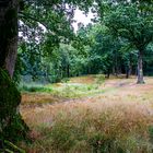 Römersee richtung Heiden von Ramsdorf kommend