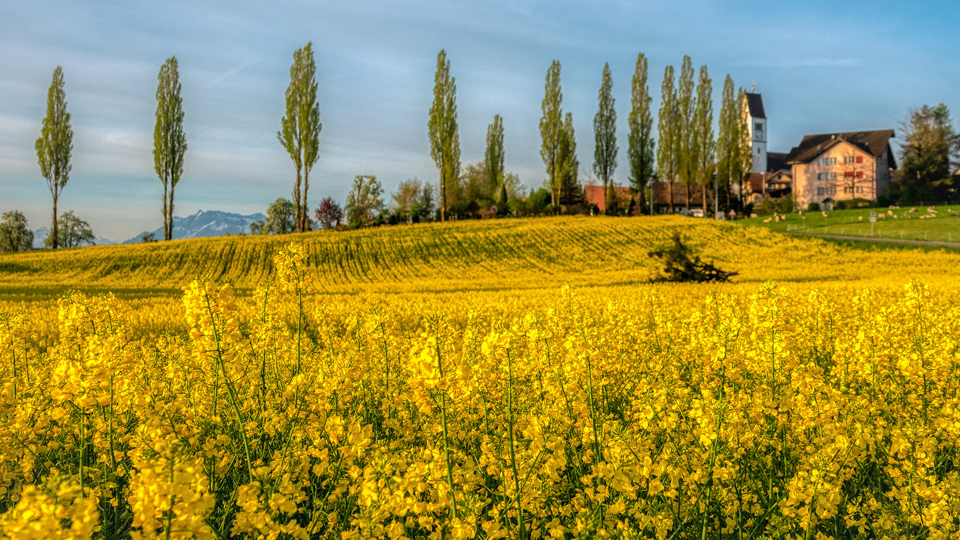 Römerswil