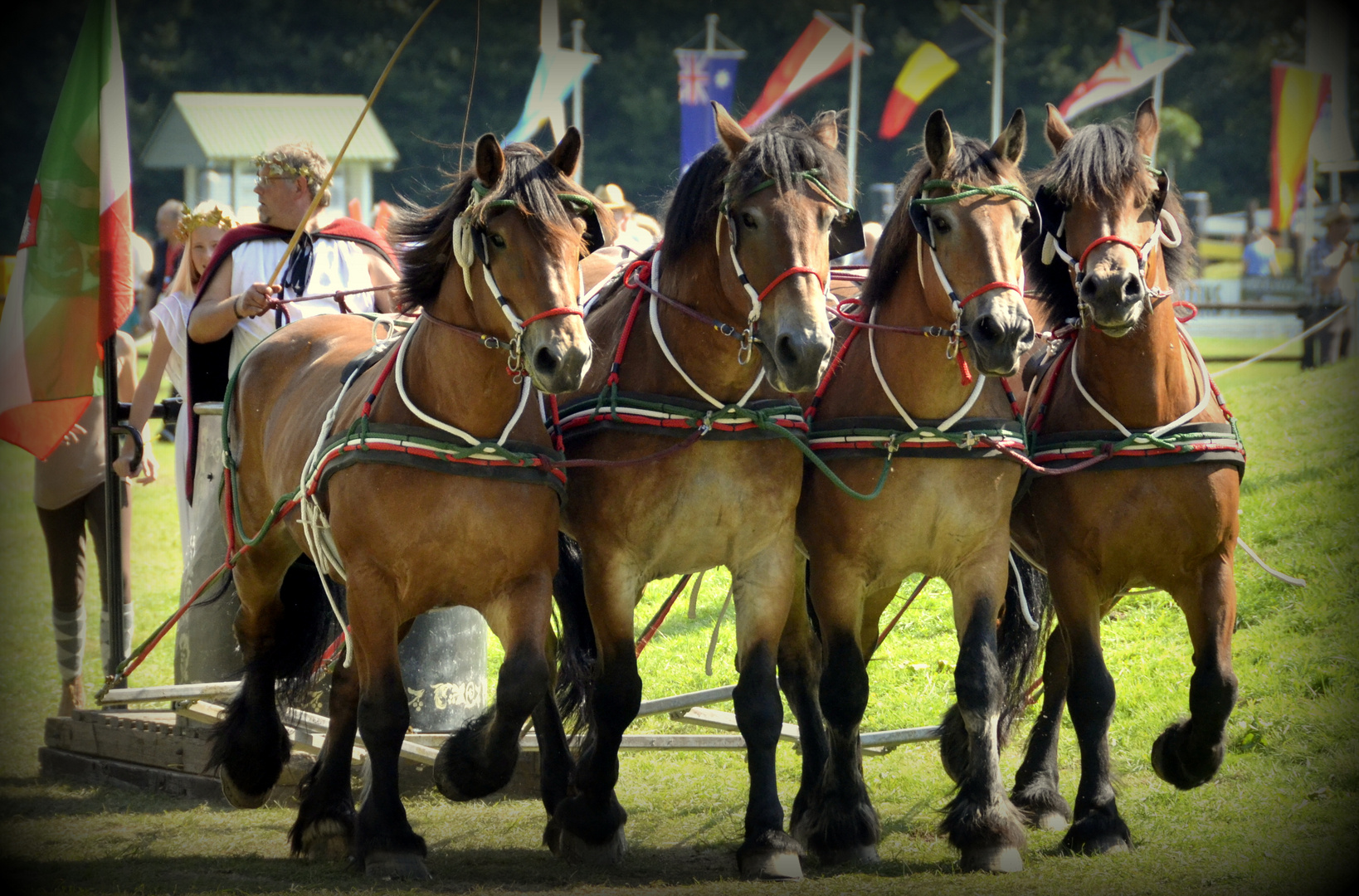 Römerwagen Riesenbeck 2012