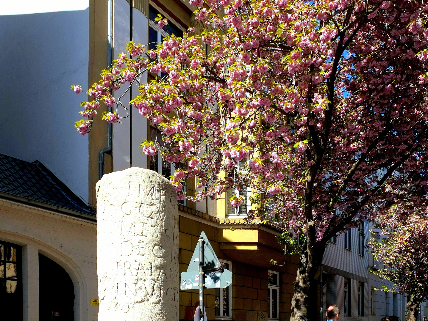 römisch-bönnscher Frühling