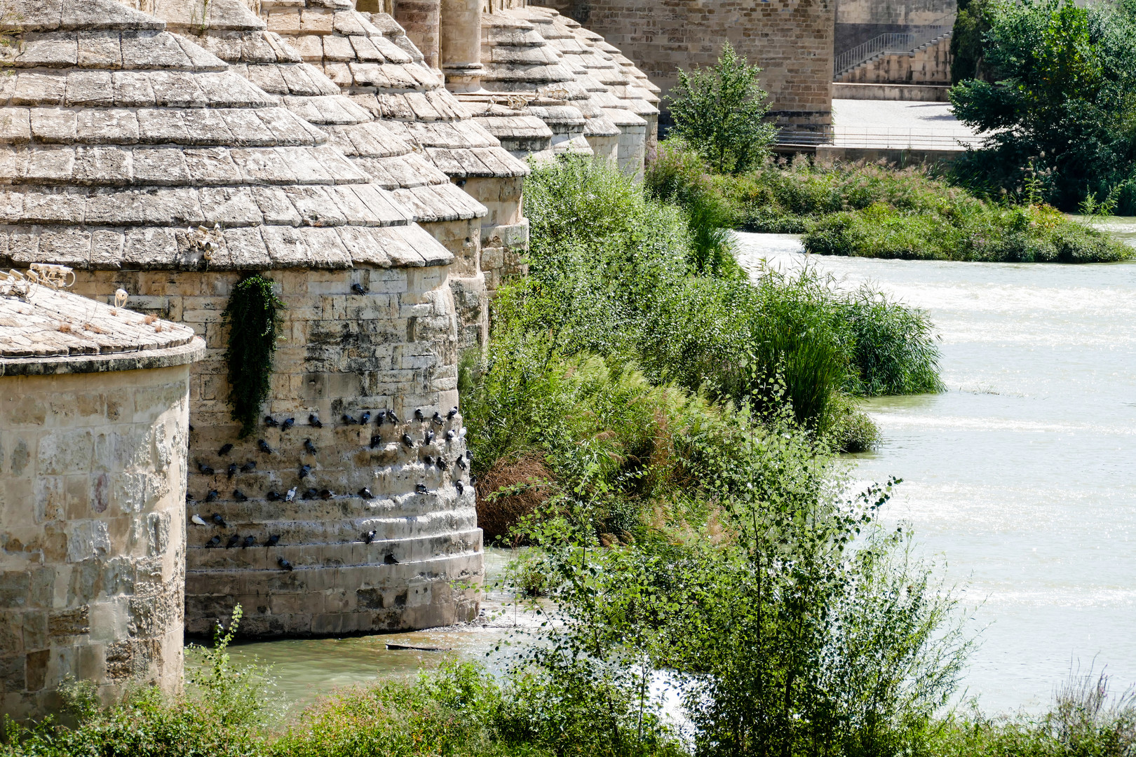 Römische Brücke Cordoba