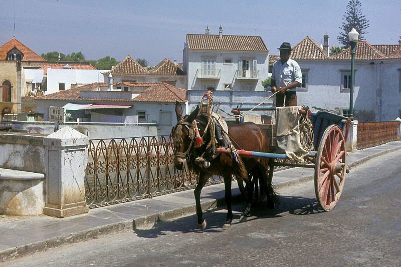 Römische Brücke über den Rio Gilão in Tavira --> Algarve