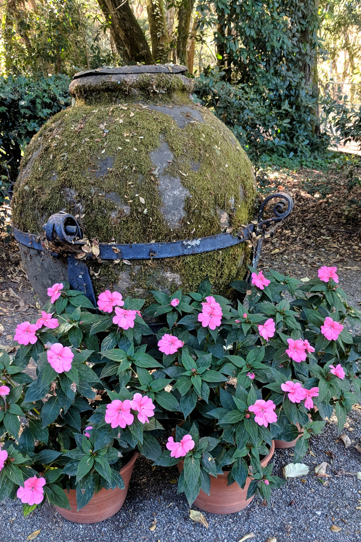 Römischer Wassertopf mit Blumen