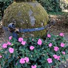 Römischer Wassertopf mit Blumen