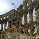 Römisches Amphitheater in Pula - 25.07.2010