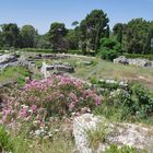 Römisches Amphitheater Siracrusa