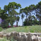 Römisches Amphitheater Siracrusa