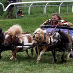 Römisches Wagenrennen auf der Pferderennbahn in Halle/S