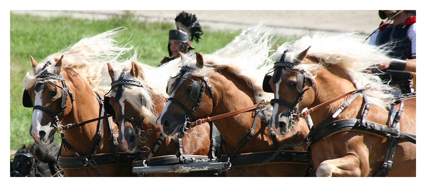 Römisches Wagenrennen