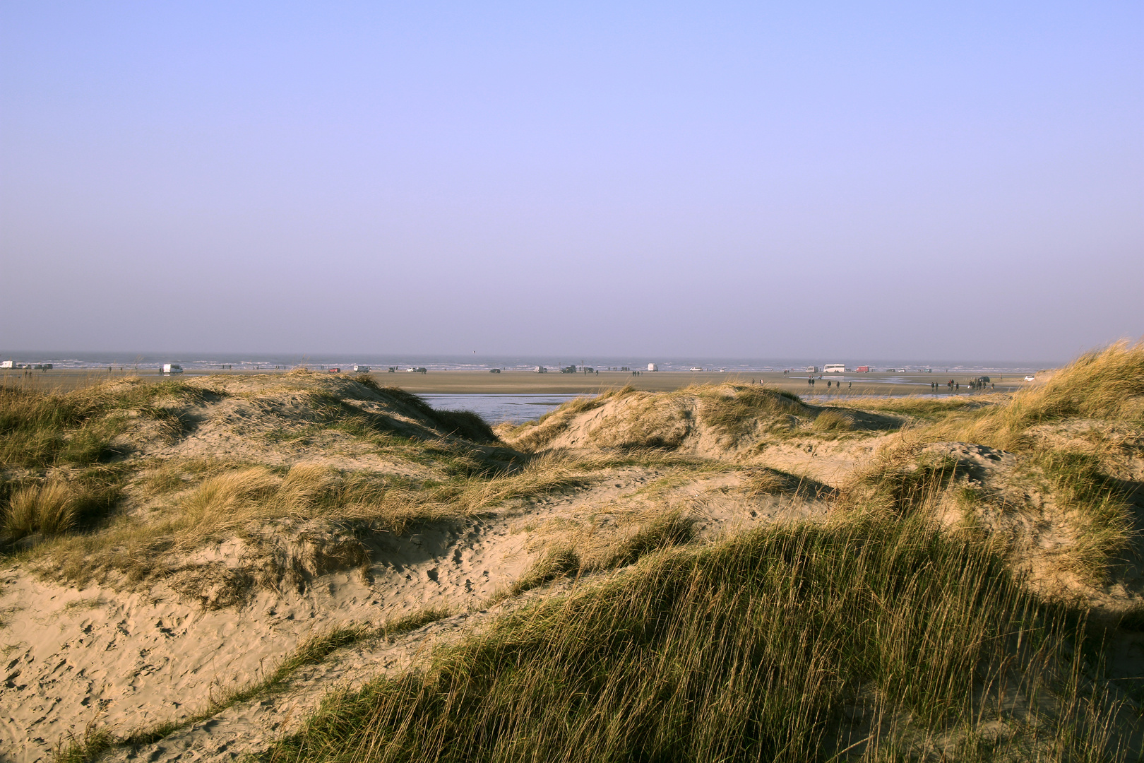 Römö - Dünen bei Lakolk Strand