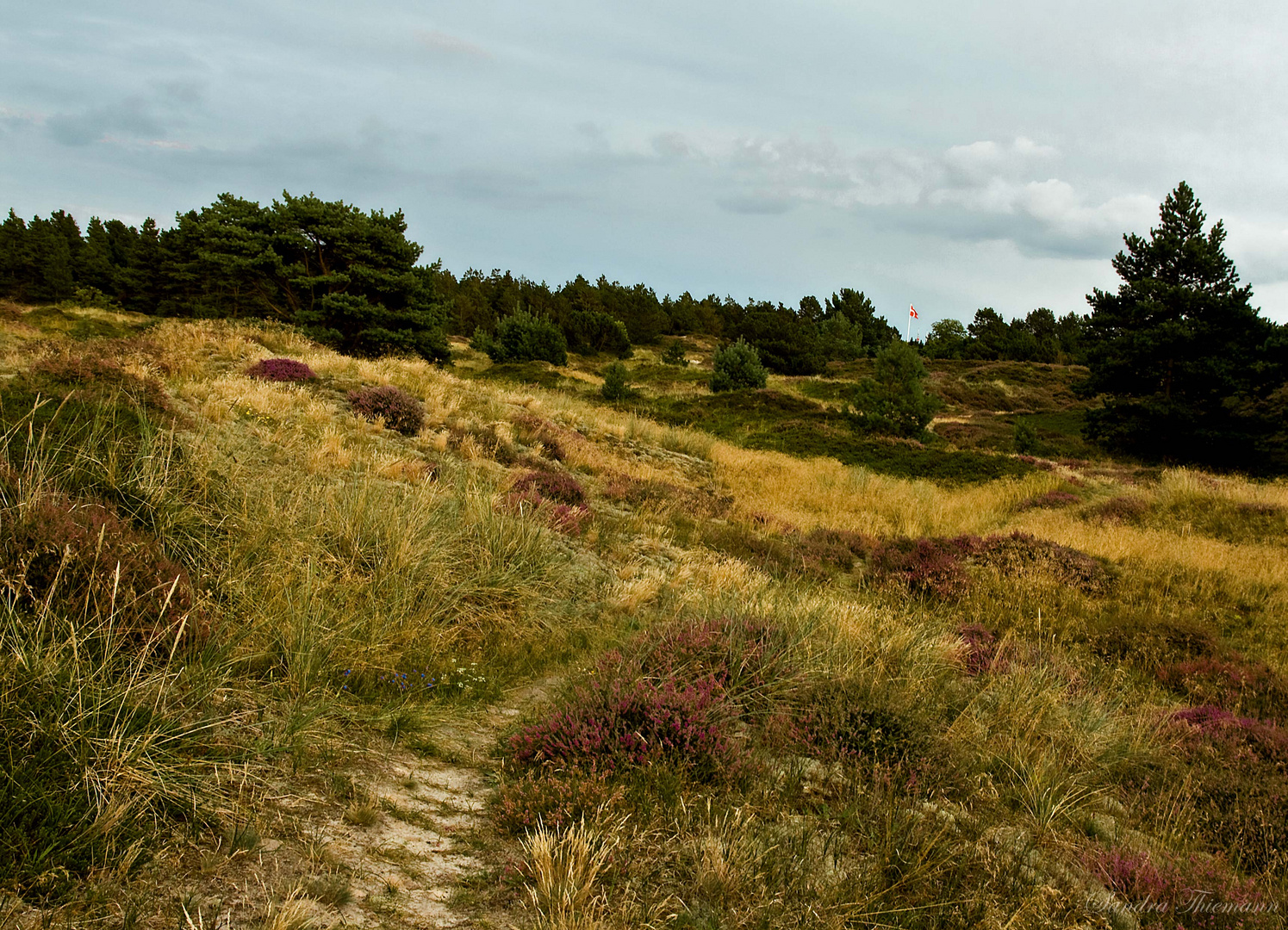 Römö´s blühende Landschaft