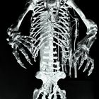 Röntgen auch schon in der Urzeit?