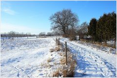 Röpziger Saaleaue (Winterimpressionen 1)